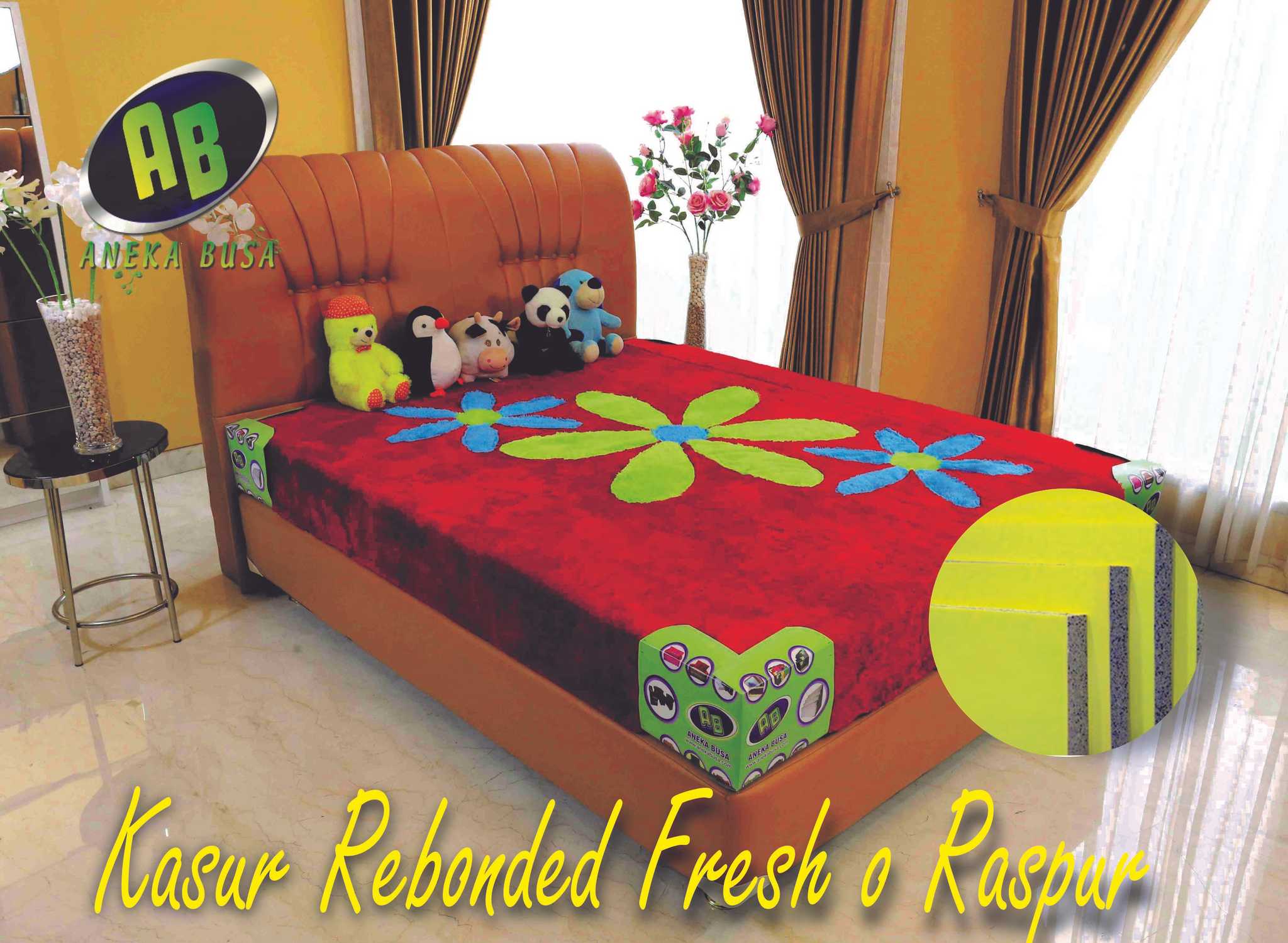 KASUR REBONDEDE RASPUR